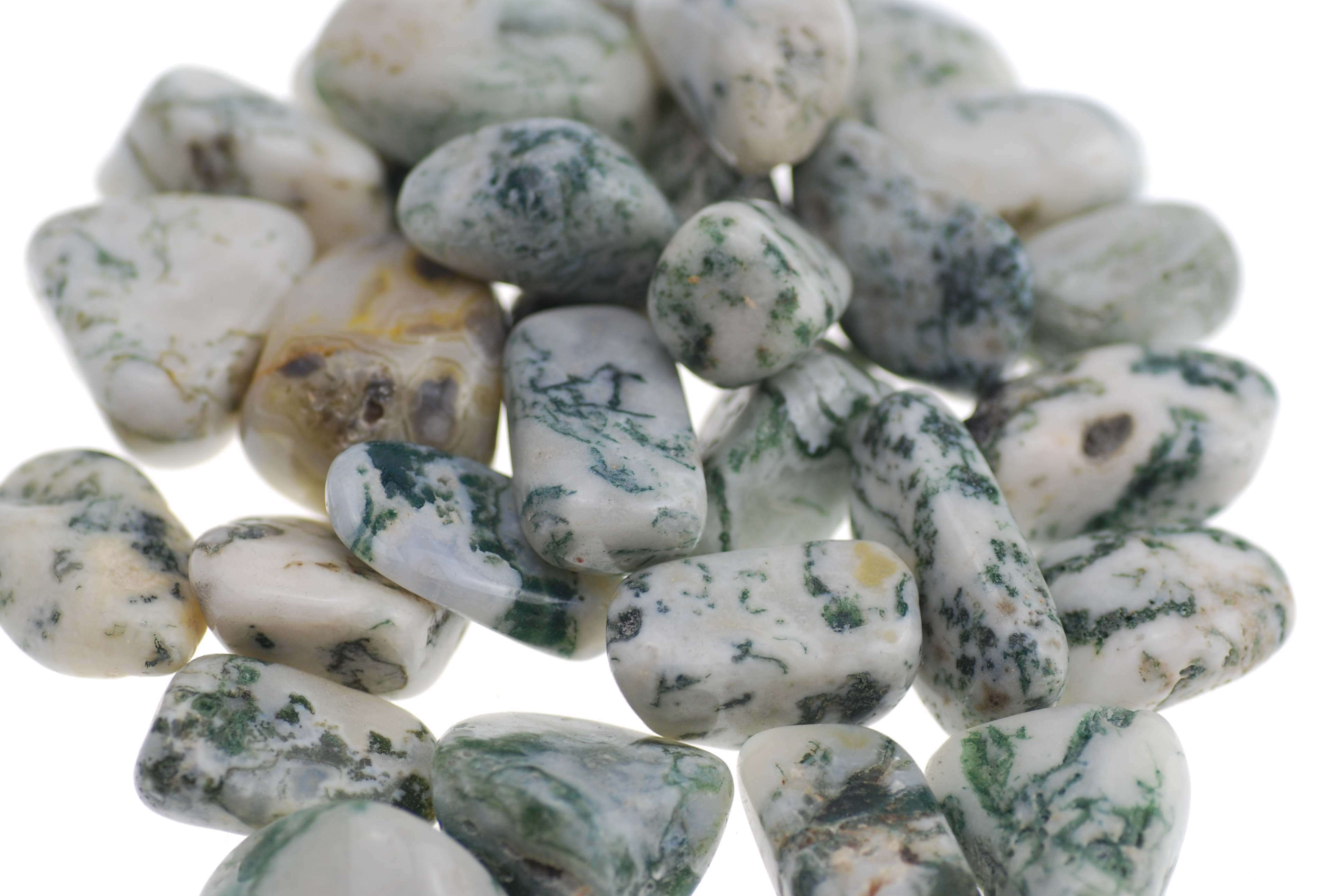 Tree Agate - Happy Glastonbury