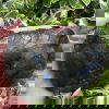 labradorite 1754a