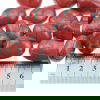 Red Howlite
