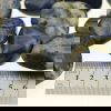 Sodalite