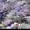 2685 charoite