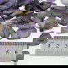 Charoite