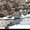 Bronzite