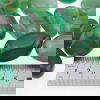 Green Agate