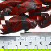 2733-brecciated-jasper-a