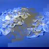 Clear Quartz Polished Tumbled Pocket Stone