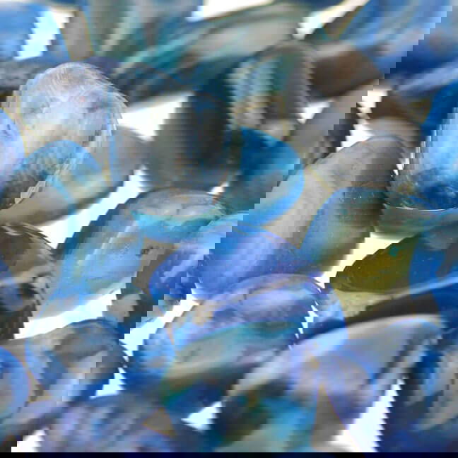 Blue Banded Agate Happy Glastonbury Crystals Gems