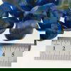 Blue Banded Agate