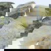 Connemara Marble