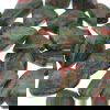 unakite 2765