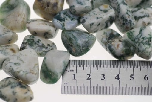 Tree Agate