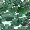 Buddstone African Jade
