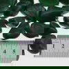 Buddstone African Jade