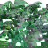 Green Dalmation Jasper