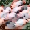 Mango Calcite - Image 2