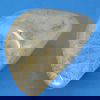 Angel Hair in Rutile Quartz 560g