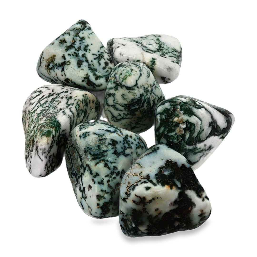 Tree Agate Tumbled 9-16g