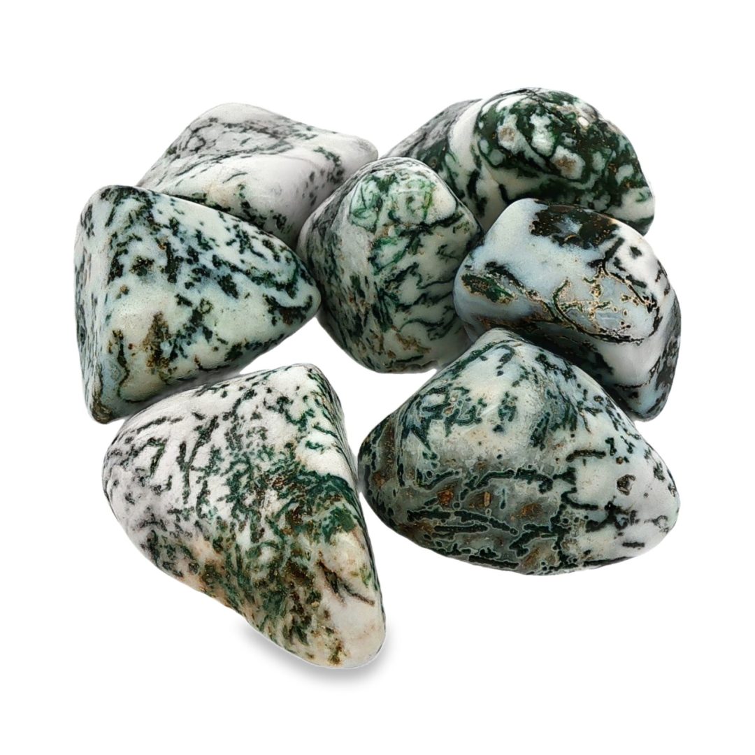 Tree Agate Tumbled 9-16g - Image 2