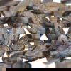 bronzite