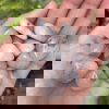 Petalite 6986a