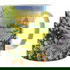 26056 - Spring Into Summer Mug
