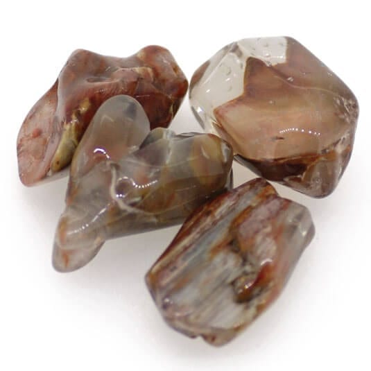 Amphibole Quartz 6081