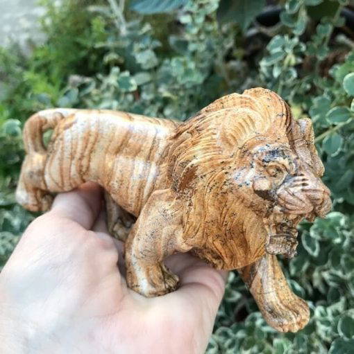 Picture Jasper Lion 542 grams