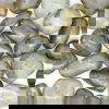tunbled labradorite TL1