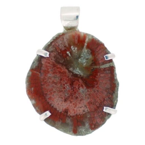 Horn Coral Pendant 12 grams