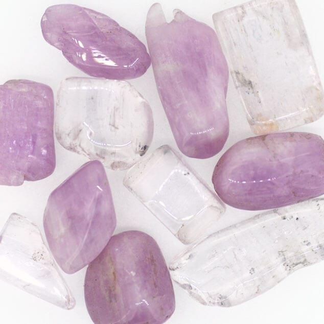 kunzite-cat