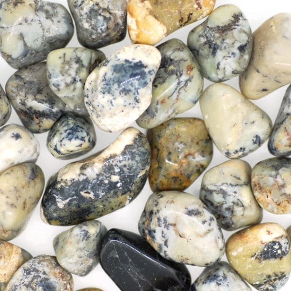 Merlinite (Dendritic Opal) tumbled – Happy Glastonbury