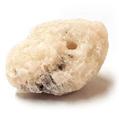 golden-coracalcite-2