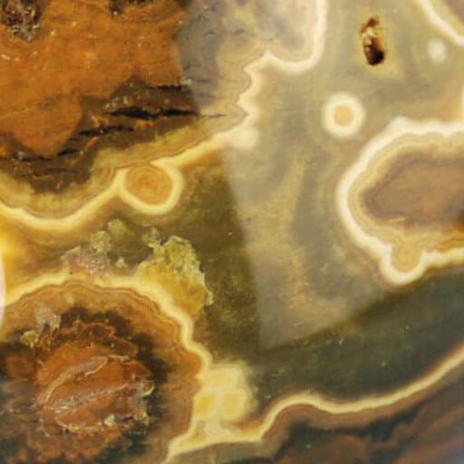 orbicular-jasper