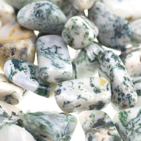 tree agate