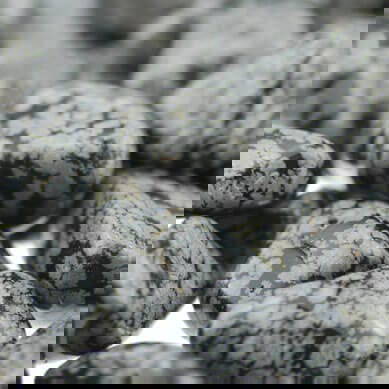 snowflake-obsidian snowflake-obsidian