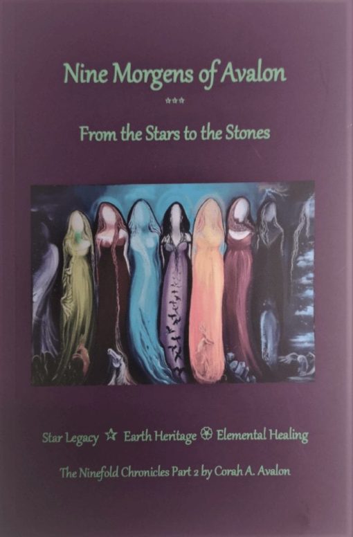 Nine Morgens of Avalon: From the Stars to the Stones