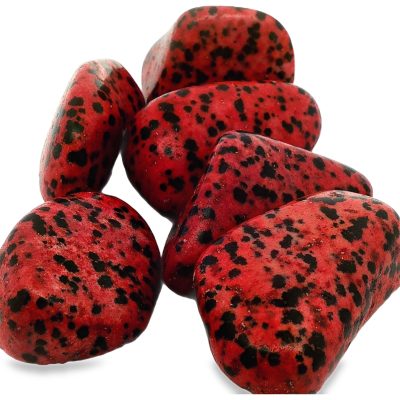 Red Dalmation Jasper