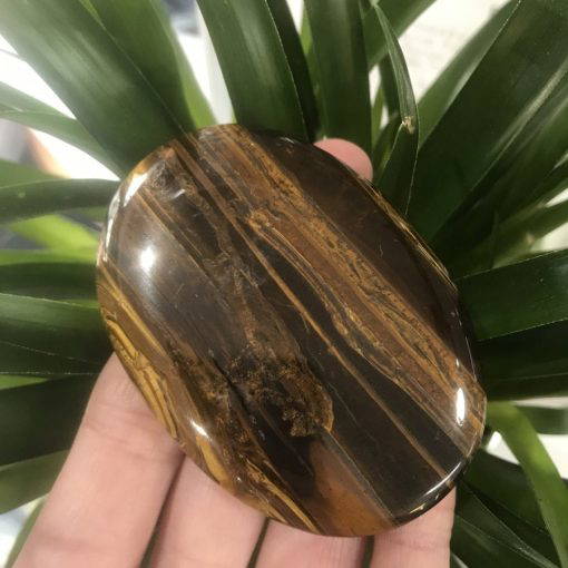 Tigers Eye Palm Stone - 72.3 grams