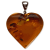 Amber 7629
