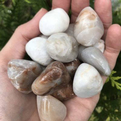 Anhydrite tumbled - medium