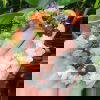 Chakra Gemstone Bracelet - Image 2