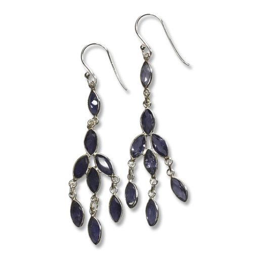Iolite Earrings 2.28g