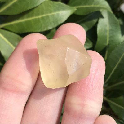 Libyan Gold (Tektite) 6.6g
