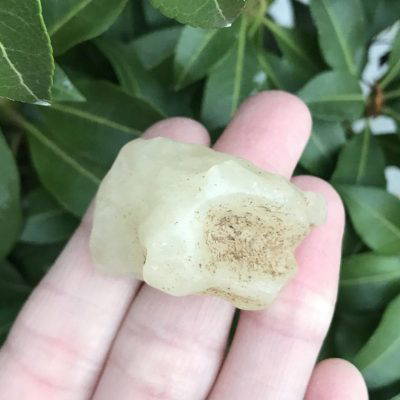 Libyan Gold (Tektite) 16.4g