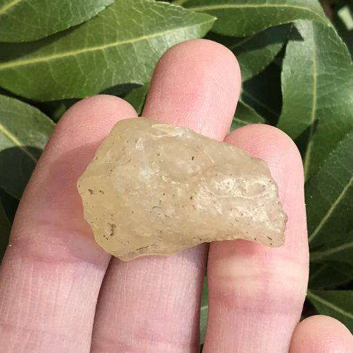 Libyan Gold (Tektite) 8.1g