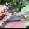 Mystic-Topaz-8759
