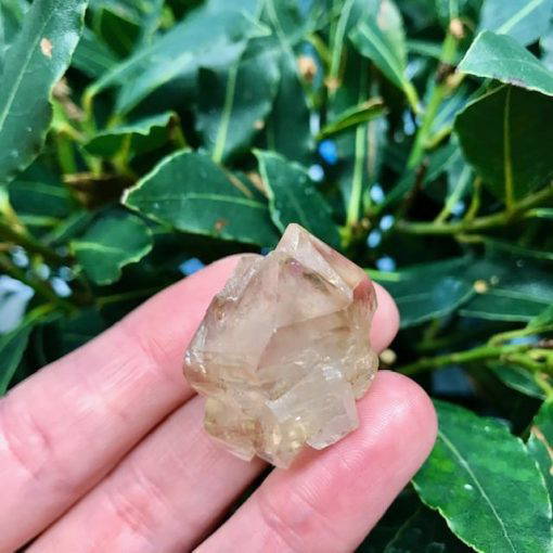 Smoky Quartz Elestial - 24 grams