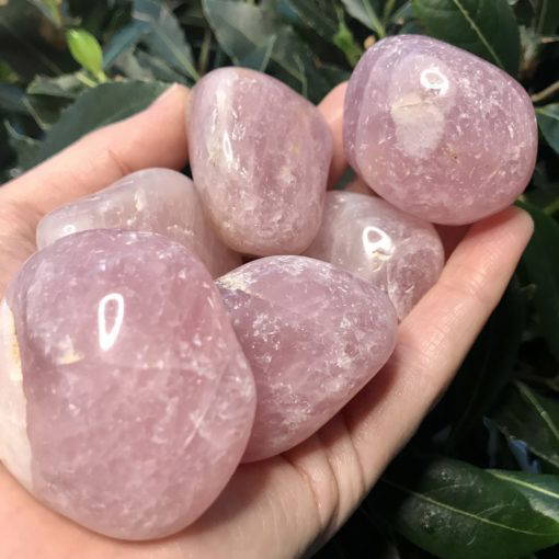Rose Quartz Pebble - large