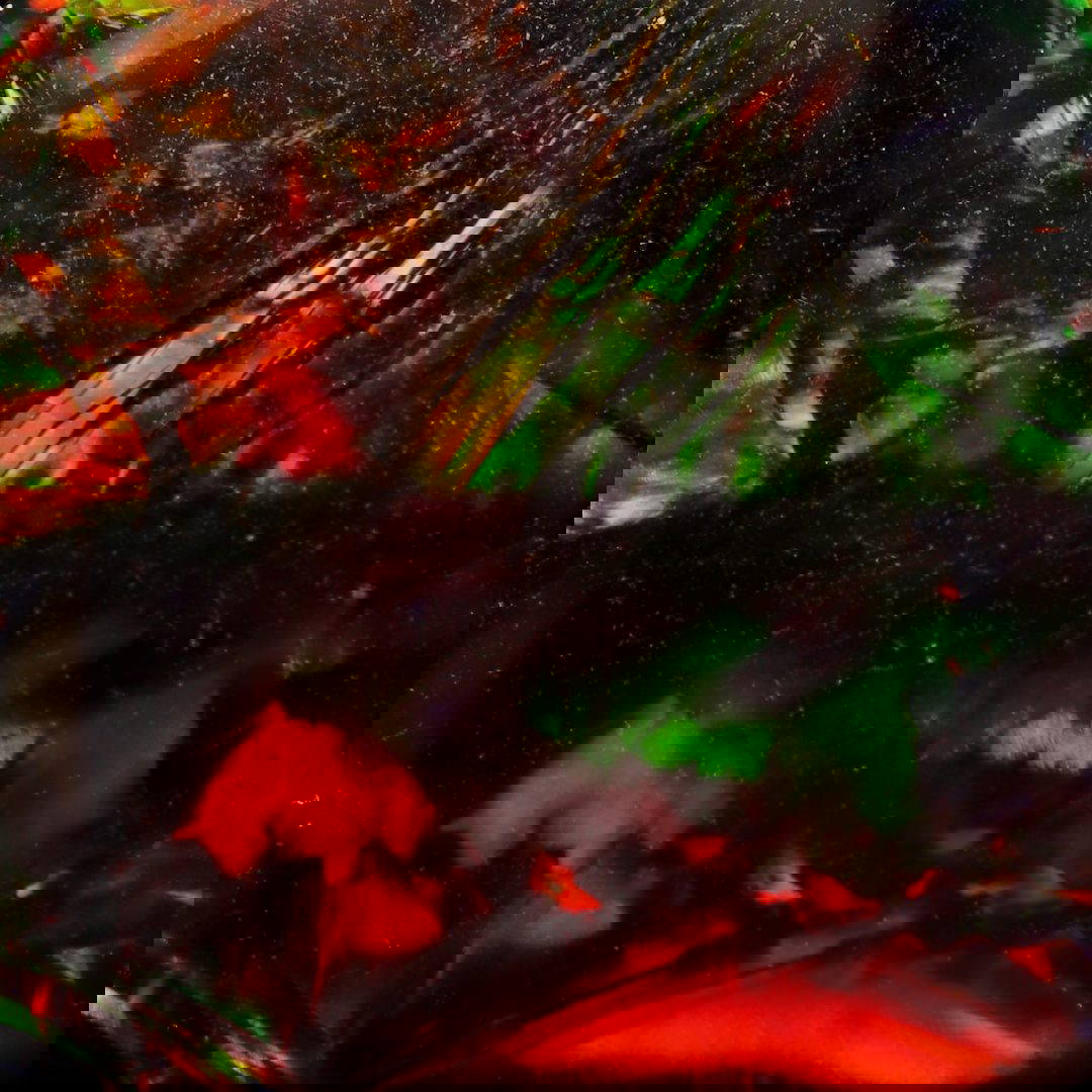 Black Opal