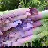 Amethyst Pendulum - Image 2